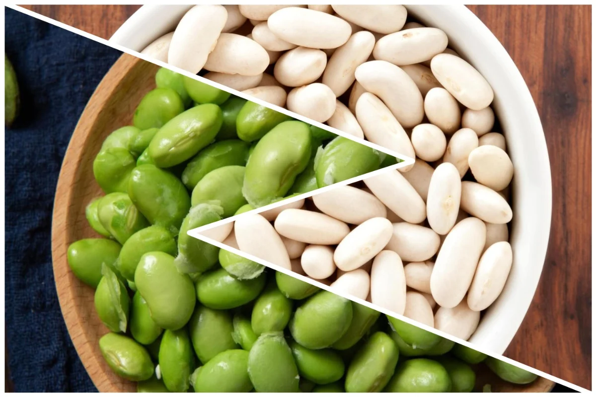 Difference between lima beans and butter beans